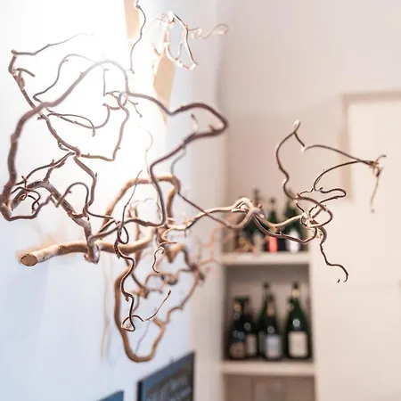 Appartamento Delle Scienze 11 *